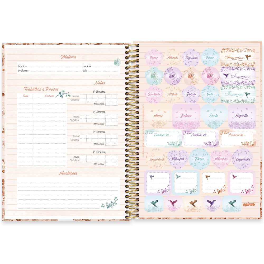 Caderno Universit Rio Capa Dura X Folhas Femmina Nude Spiral