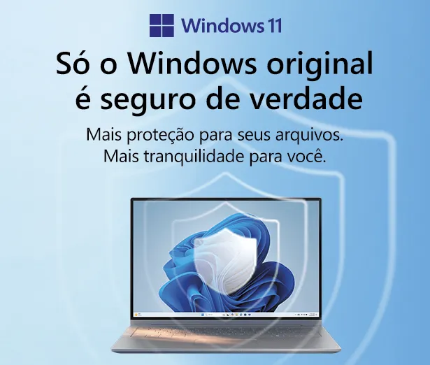 Windows 11