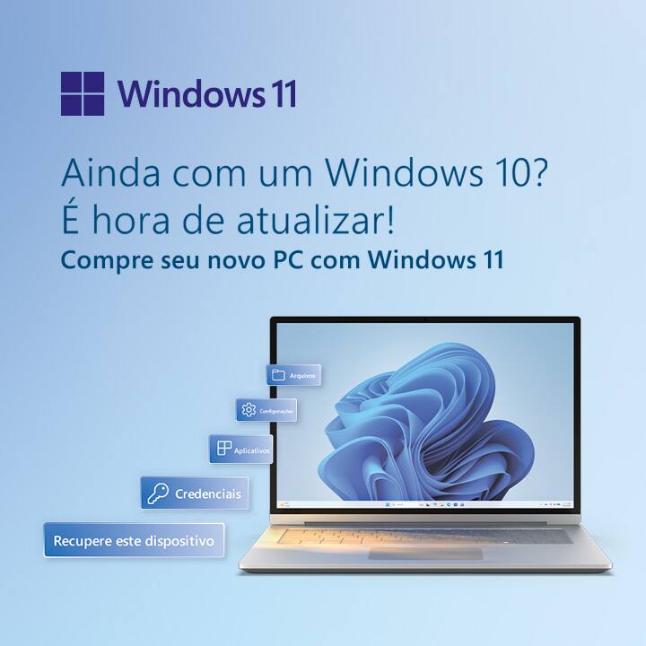 Windows 11