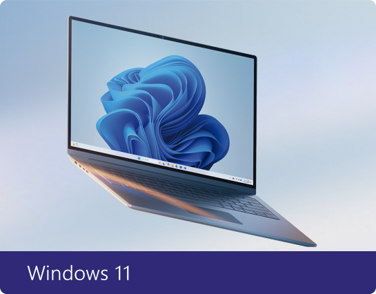 Windows 11