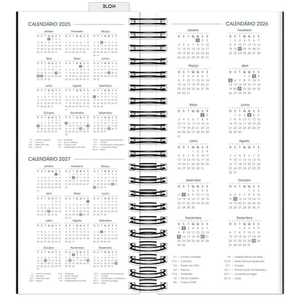 Agenda Comercial 2026, Brief Executive, Preto, 119mm x 275mm, 194 folhas, 2633446, Spiral Brf Ex - PT 1 UN