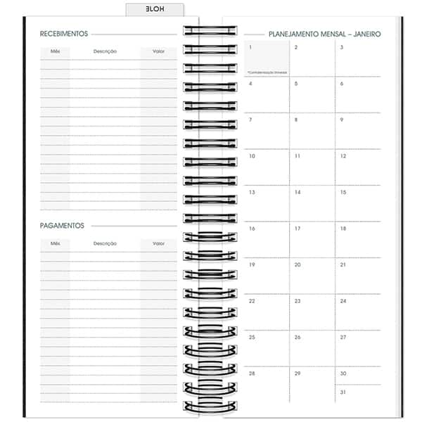 Agenda Comercial 2026, Brief Executive, Preto, 119mm x 275mm, 194 folhas, 2633446, Spiral Brf Ex - PT 1 UN