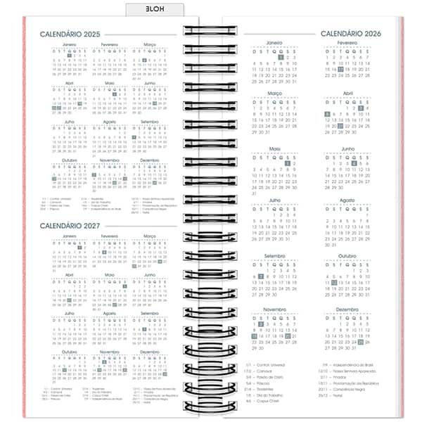 Agenda Comercial 2026, Brief Executive, Rosa, 119mm x 275mm, 194 folhas, 2633453, Spiral Brf Ex - PT 1 UN