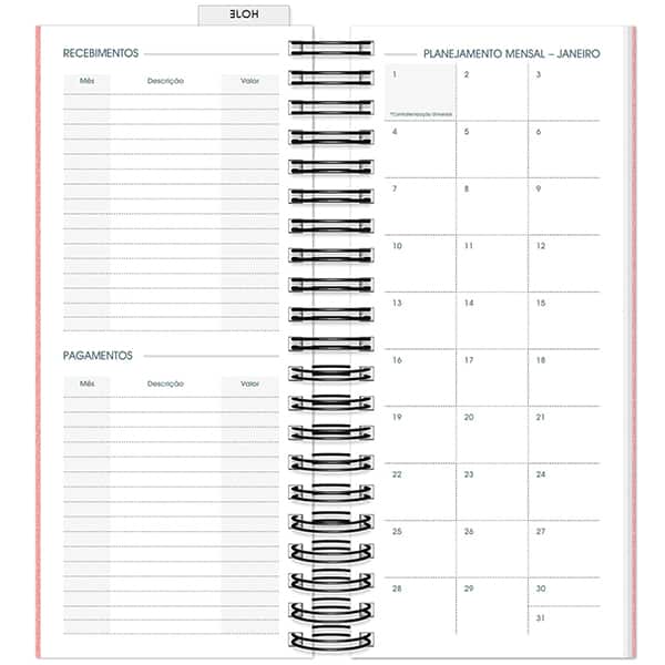 Agenda Comercial 2026, Brief Executive, Rosa, 119mm x 275mm, 194 folhas, 2633453, Spiral Brf Ex - PT 1 UN