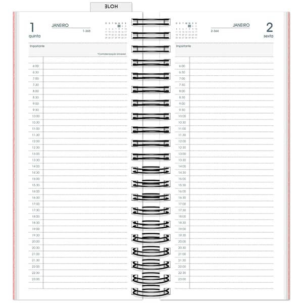 Agenda Comercial 2026, Brief Executive, Rosa, 119mm x 275mm, 194 folhas, 2633453, Spiral Brf Ex - PT 1 UN