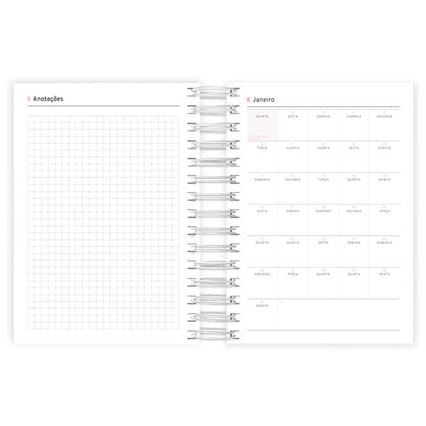 Agenda diária Flutter 2026 2635075 Spiral Flu PT 1 UN