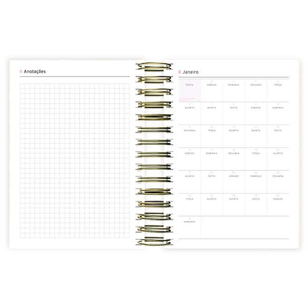 Agenda diária Capivara 2027 2750689 Spiral Ten PT 1 UN