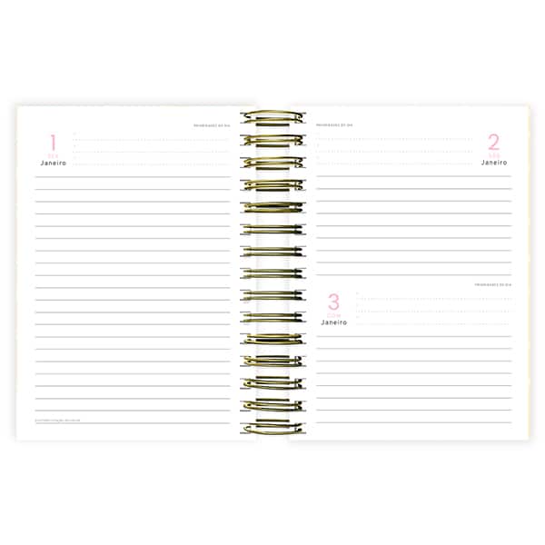 Agenda diária Capivara 2027 2750689 Spiral Ten PT 1 UN
