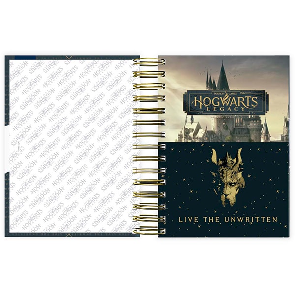 Agenda Diária 2025 Hogwarts Legacy, 176 folhas, 2512359, Spiral Hl - PT 1 UN