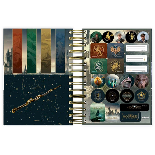 Agenda Diária 2025 Hogwarts Legacy, 176 folhas, 2512359, Spiral Hl - PT 1 UN