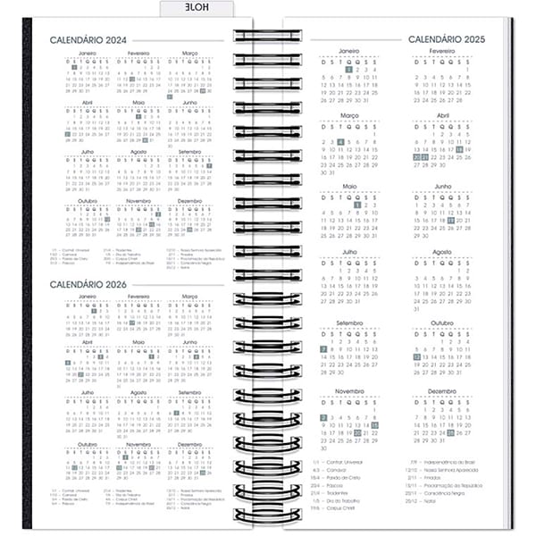 Agenda Comercial 2025, Brief Executive, Preto, 119mm x 275mm, 194 folhas, 2511222, Spiral Brf Ex - PT 1 UN