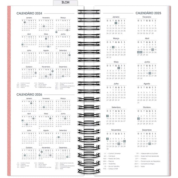 Agenda Comercial 2025, Brief Executive, Rosa, 119mm x 275mm, 194 folhas, 2511239, Spiral Brf Ex - PT 1 UN