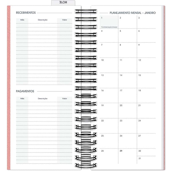 Agenda Comercial 2025, Brief Executive, Rosa, 119mm x 275mm, 194 folhas, 2511239, Spiral Brf Ex - PT 1 UN