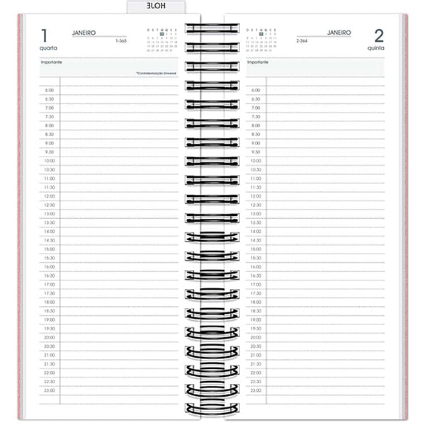 Agenda Comercial 2025, Brief Executive, Rosa, 119mm x 275mm, 194 folhas, 2511239, Spiral Brf Ex - PT 1 UN