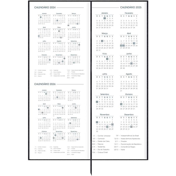 Agenda Comercial 2025, Brief Executive, Preta, 130mm x 350mm, 194 folhas, 2511253, Spiral Brf Ex - PT 1 UN