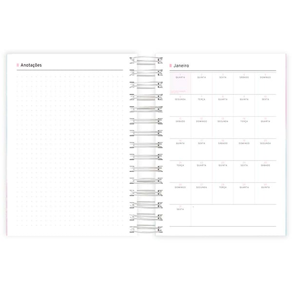 Agenda diária 2025, Flutter, 176 folhas, 2511789, Spiral Flu - PT 1 UN