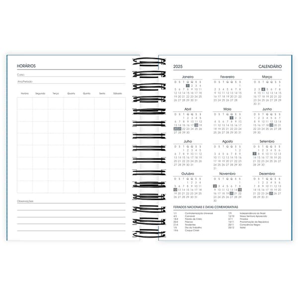 Agenda diária 2025, Brief Azul, 176 folhas, 2511321, Spiral Brf - PT 1 UN