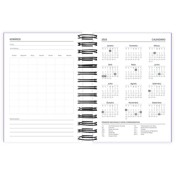 Agenda diária 2025, Brief Lilás, 176 folhas, 2511338, Spiral Brf - PT 1 UN