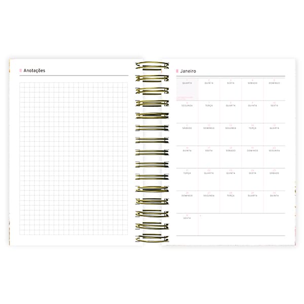 Agenda Diária 2025 Femmina, 176 folhas, 2511772, Spiral Fem - PT 1 UN