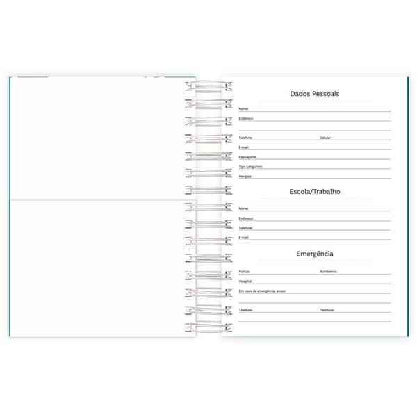 Agenda Diária 2025, Verde, 176 folhas, 2511383, Spiral - PT 1 UN