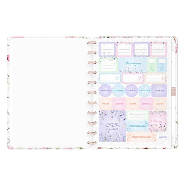 Caderno de Disco Femmina, Tamanho G (200×275 mm) com 80 Folhas Pautadas Gramatura 90g, Spiral Fem - PT 1 UN Caderno de Disco Femmina, Tamanho G (200×275 mm) com 80 Folhas Pautadas Gramatura 90g, Spiral Fem - PT 1 UN