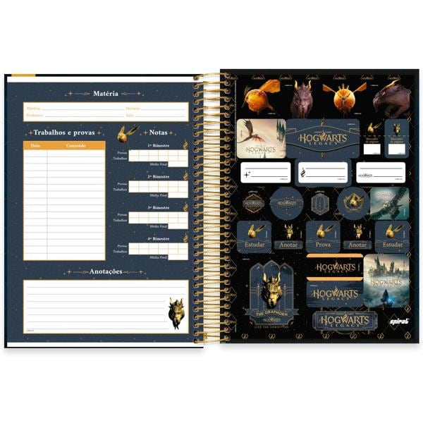 Caderno Universitário Capa Dura 20X1 320 Folhas Warner Hogwarts Legacy Spiral - PT 1 UN