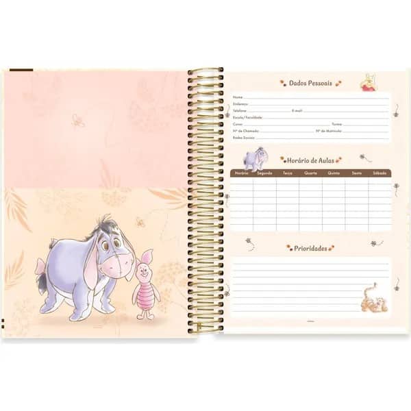 Caderno univ.capa dura 10x1 160fls Pooh 2754168 Spiral Pooh PT 1 UN
