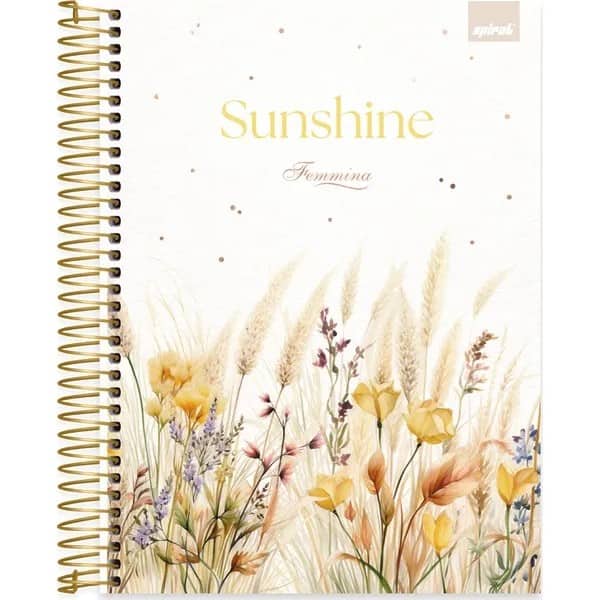 Caderno Universitário Capa Dura, 20 x 1, 320 Folhas, Femmina, 2754229, Spiral Fem - PT 1 UN