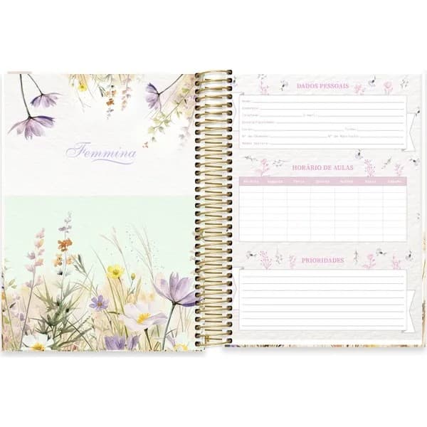 Caderno Universitário Capa Dura, 20 x 1, 320 Folhas, Femmina, 2754229, Spiral Fem - PT 1 UN