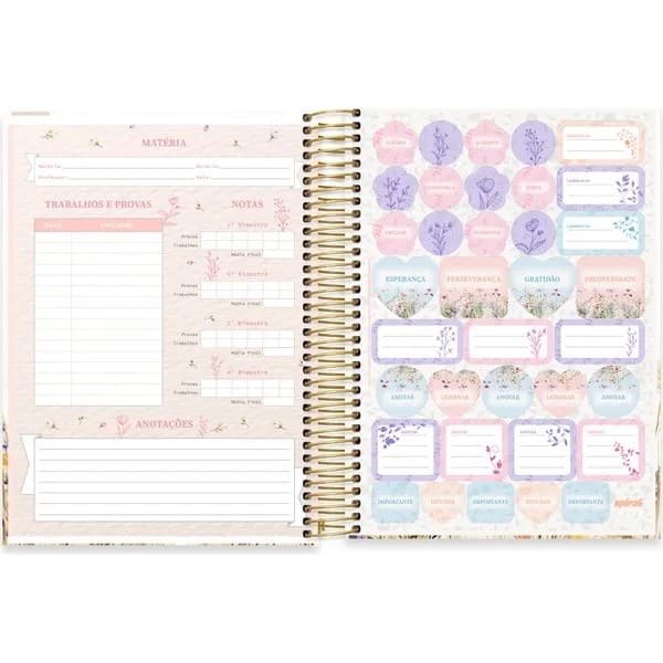 Caderno Universitário Capa Dura, 20 x 1, 320 Folhas, Femmina, 2754229, Spiral Fem - PT 1 UN