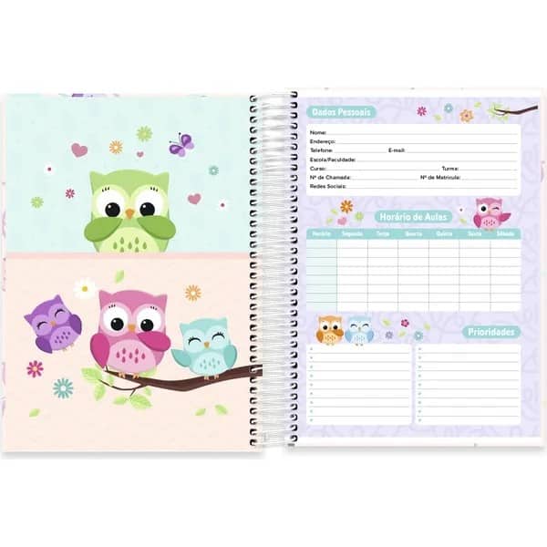 Caderno Universitário Capa Dura, 15x1, 240 folhas, Corujinhas,2753048, Spiral Cor - PT 1 UN