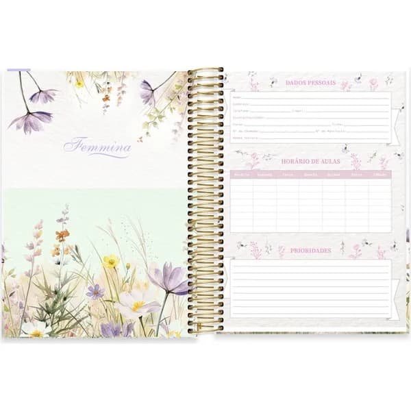 Caderno Universitário Capa Dura, 15x1, 240 folhas, Femmina, 2754182, Spiral Fem - PT 1 UN Caderno Universitário Capa Dura, 15x1, 240 folhas, Femmina, 2754182, Spiral Fem - PT 1 UN