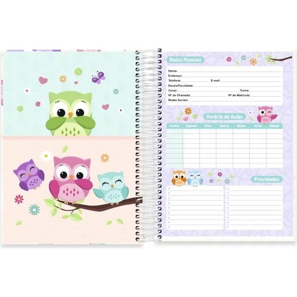 Caderno Universitário Capa Dura, 10 x 1, 160 Folhas, Corujinhas, 2752829, Spiral Cor - PT 1 UN