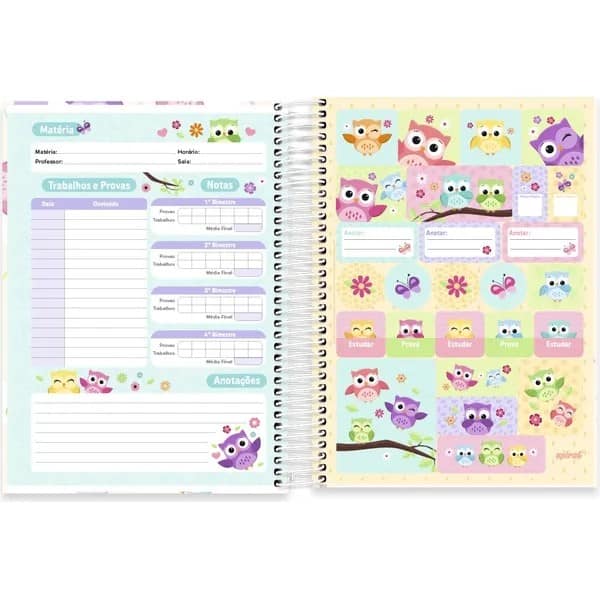 Caderno Universitário Capa Dura, 10 x 1, 160 Folhas, Corujinhas, 2752829, Spiral Cor - PT 1 UN