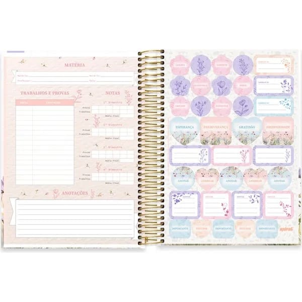 Caderno Universitário Capa Dura, 10 x 1, 160 Folhas, Femmina, 2754137, Spiral Fem - PT 1 UN