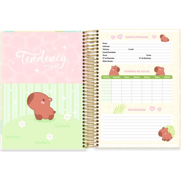Caderno Universitário, Capa Dura, 10 x 1, 160 Folhas, Capivara, 2753024, Spiral Ten - PT 1 UN