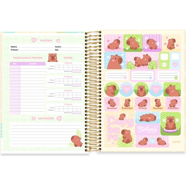Caderno Universitário, Capa Dura, 10 x 1, 160 Folhas, Capivara, 2753024, Spiral Ten - PT 1 UN