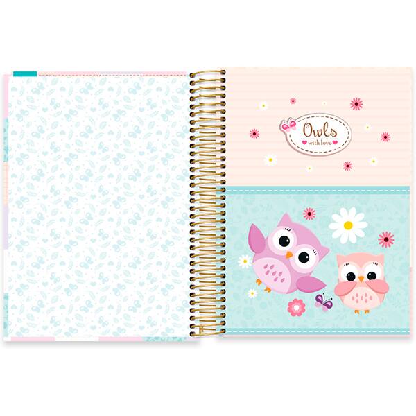 Caderno Universitário Capa Dura, 10 x 1, 160 Folhas, Corujinhas, 2520484, Spiral Cor - PT 1 UN