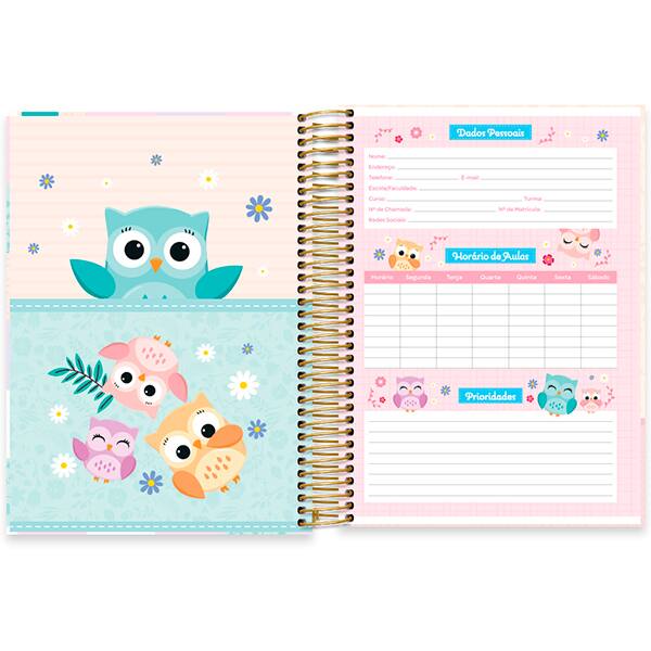 Caderno Universitário Capa Dura, 10 x 1, 160 Folhas, Corujinhas, 2520484, Spiral Cor - PT 1 UN