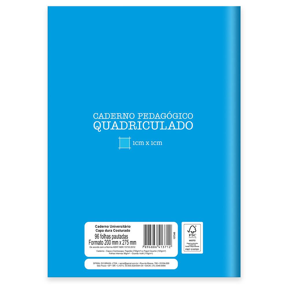 Rede Pedagógica - Criando desenhos em papel quadriculado