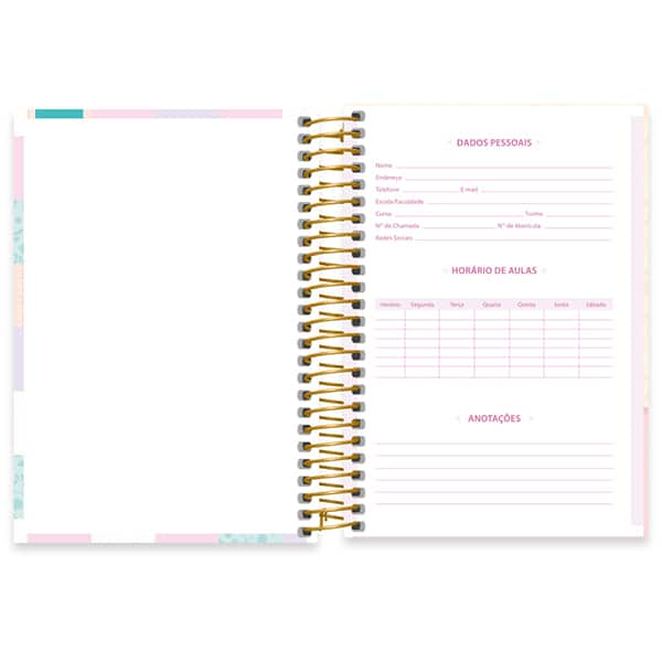 Caderno 1/4 espiral capa dura, 1 matéria, 80 folhas, Corujinhas, 2521054, Spiral Cor - PT 1 UN