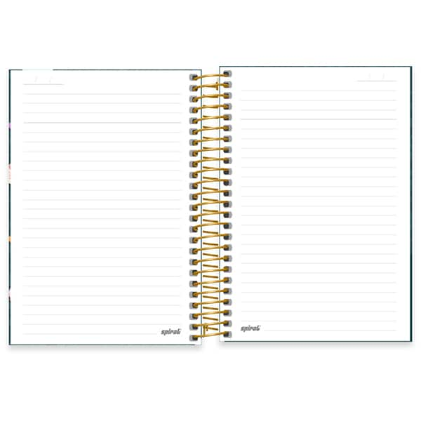 Caderno 1/4 espiral capa dura, 1 matéria, 160 folhas, Corujinhas, 2521115, Spiral Cor - PT 1 UN