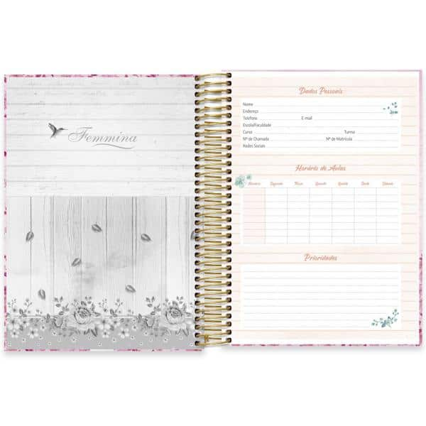 Caderno universitário capa dura 10x1 160 folhas, Femmina Rosa, Spiral, 2278391 - PT 1 UN