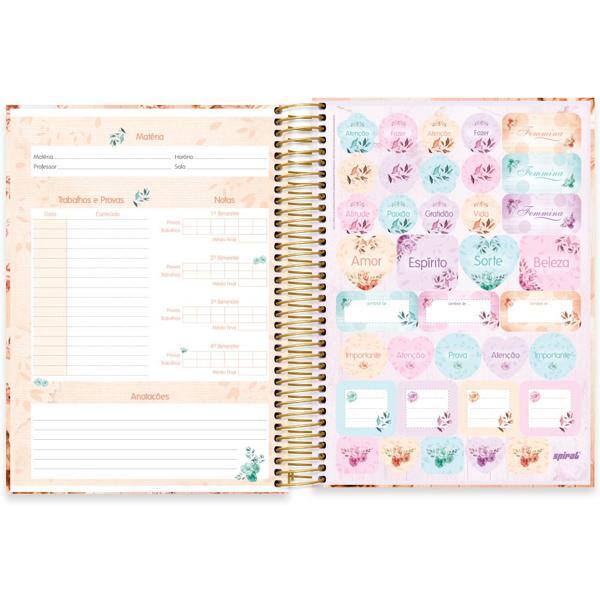 Caderno universitário capa dura, 10x1, 160 folhas, Femmina, 2348882, Spiral Fem - PT 1 UN