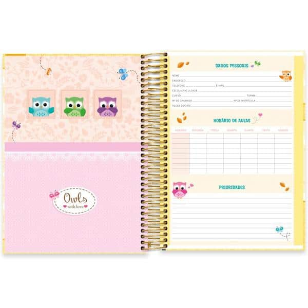 Caderno universitário capa dura, 20x1, 320 folhas, Corujinhas, 2349131, Spiral Cor - PT 1 UN