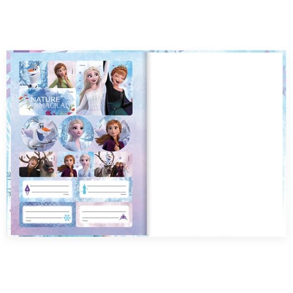 Caderno Universitário Capa Dura Brochura Costurado 80 Folhas, Frozen, 2333758, Spiral Frz - PT 1 UN