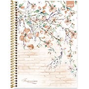 Caderno Universitário Capa Dura 1X1 80 Folhas Femmina Rosa Spiral -  PT 1 UN