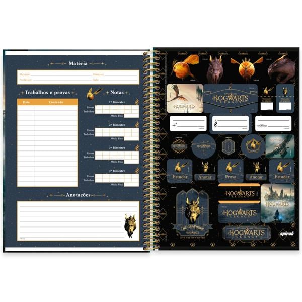 Caderno Universitário Capa Dura 1X1 80 Folhas Warner Hogwarts Legacy Spiral - PT 1 UN