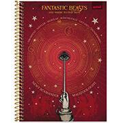 Caderno Universitário Capa Dura 1X1 80 Folhas Warner Animais Fantásticos Spiral -  PT 1 UN
