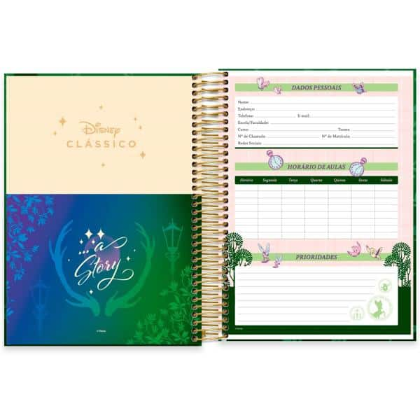 Caderno Universitário Capa Dura 10X1 160 Folhas Disney Clássicos Bambi Spiral - PT 1 UN